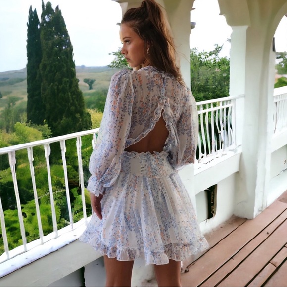 Boho V-Neck Long Sleeve Chiffon Open Back Ruffled Mini Dress - Pink XL - Picture 4 of 8